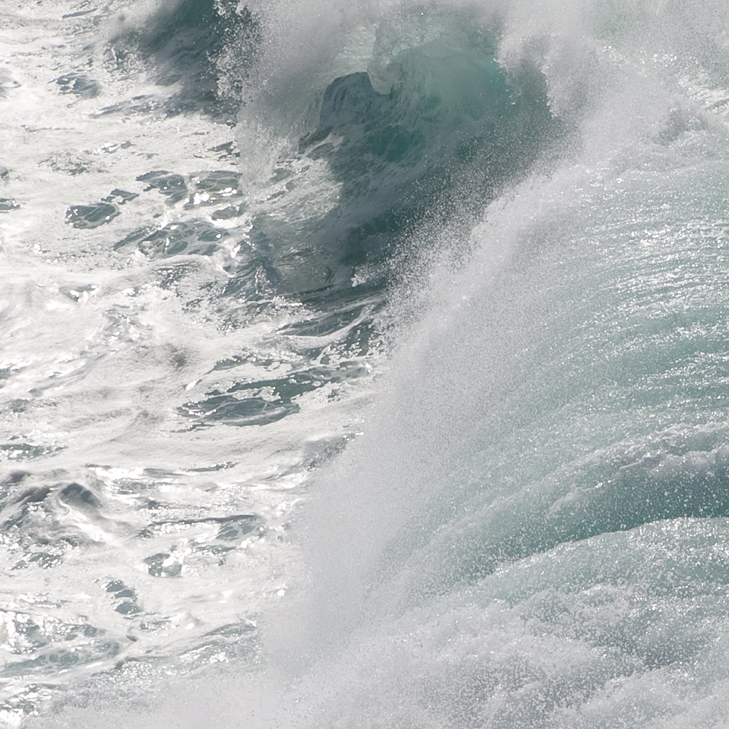 Bronte