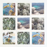 Mixed Set of 9 Cards - Coastal Foliage