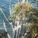Tea towels The Coastal Foliage Collection