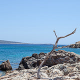 Greece Collection: Paros Makria Miti Beach Linen Tea towel