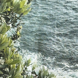 Tea towel, Clifftop Walk Vaucluse