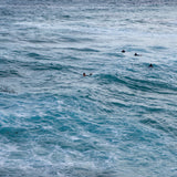 Wall Art Between the Sets, Tamarama