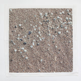 Napkin Sandy Shells