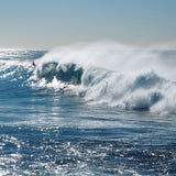 Print Bronte Spray