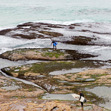 Tea towel The Duo, Mackenzie's Bay