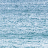 Wall Art Calm, Tamarama