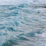 Cards "Twilight, Tamarama Beach"