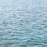 Cards "Currents"