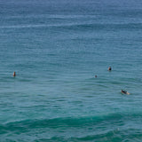 Wall Art The Wait, Tamarama