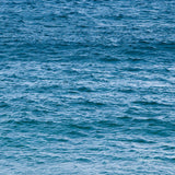 Napkin Tamarama Ripples
