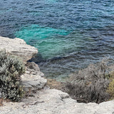 Cards "Rottnest Island"