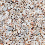 Cards "Seashells & Stones"