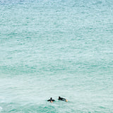 Print The Wait, Tamarama