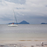 Tea towel Port Stephens