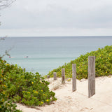 Tea towel Shoal Bay