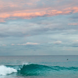Tea towel Tamarama Sunset