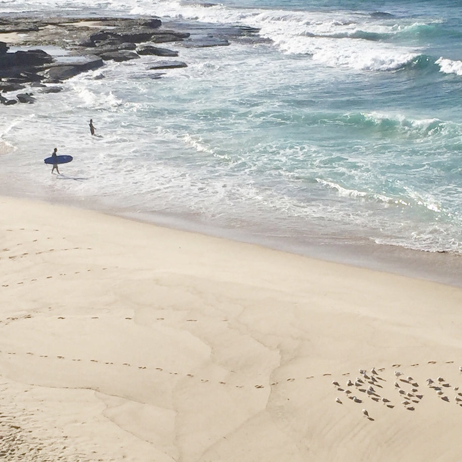 A bit of beach history - the Tamarama Story