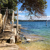 Card (large) "Camp Cove Steps"