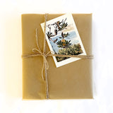 Card (large) "Coastal Banksia"
