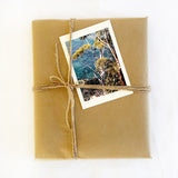 Cards (large) "Mollymook Gums"
