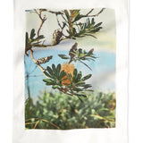 Tea towel Coastal Banksia