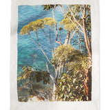 Tea towel Mollymook Gums