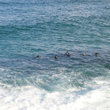 Tea towel Anticipation, Tamarama Beach