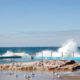 Tea towel South Curl Curl Pool